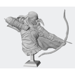 Diorama El Señor de los Anillos